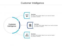 Customer intelligence ppt powerpoint presentation file good cpb
