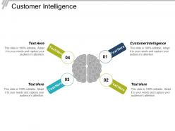 Customer intelligence ppt powerpoint presentation infographic template visual aids cpb