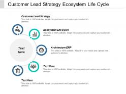 Customer lead strategy ecosystem life cycle architecture erp cpb