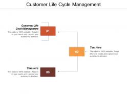Customer life cycle management ppt powerpoint presentation file layout cpb