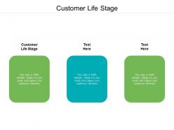 Customer life stage ppt powerpoint presentation file mockup cpb