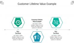 Customer lifetime value example ppt powerpoint presentation styles layout ideas cpb