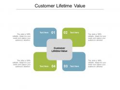 Customer lifetime value ppt powerpoint presentation summary portrait cpb
