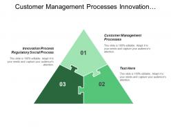 Customer management processes innovation process regulatory social process