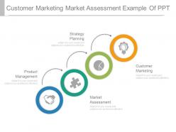 Customer Marketing Market Assessment Example Of Ppt