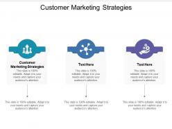 Customer marketing strategies ppt powerpoint presentation file design templates cpb