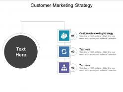 Customer marketing strategy ppt powerpoint presentation file designs download cpb