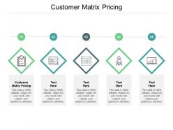 Customer matrix pricing ppt powerpoint presentation pictures structure cpb
