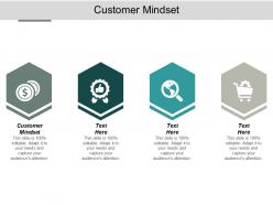 Customer mindset ppt powerpoint presentation summary display cpb