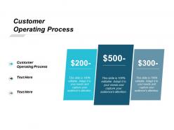 Customer operating process ppt powerpoint presentation professional graphics example cpb
