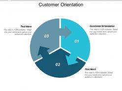 Customer orientation ppt powerpoint presentation outline rules cpb