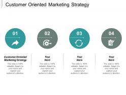Customer oriented marketing strategy ppt powerpoint presentation file microsoft cpb