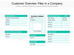 Customer overview files in a company