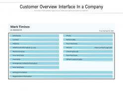 Customer overview interface in a company