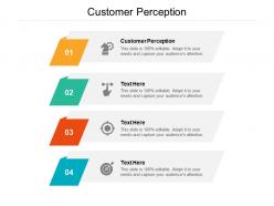 Customer perception ppt powerpoint presentation diagram templates cpb