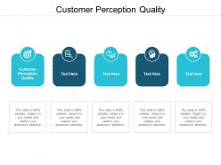 Customer perception quality ppt powerpoint presentation icon cpb