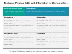 Customer persona table with information on demographic goals paint points and motivational