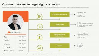 Customer Persona To Target Right Customers Offline Marketing Guide To Increase Strategy SS