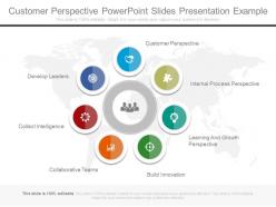 Customer perspective powerpoint slides presentation example