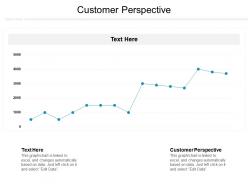 Customer perspective ppt powerpoint presentation ideas gallery cpb