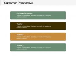 Customer perspective ppt powerpoint presentation inspiration example introduction cpb