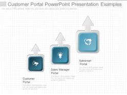 Customer portal powerpoint presentation examples