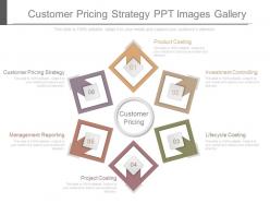 Customer pricing strategy ppt images gallery