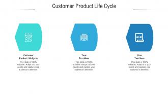 Customer product life cycle ppt powerpoint presentation show slides cpb
