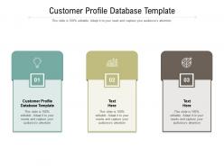 Customer profile database template ppt powerpoint presentation portfolio backgrounds cpb