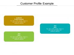 Customer profile example ppt powerpoint presentation portfolio designs download cpb