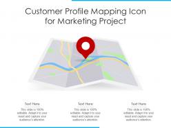 Customer profile mapping icon for marketing project