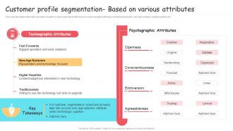 Customer Profile Segmentation Based Brand Extension And Positioning Ppt Information