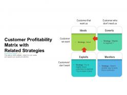 Customer profitability matrix with related strategies