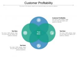 Customer profitability ppt powerpoint presentation professional display cpb