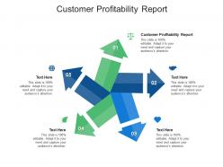 Customer profitability report ppt powerpoint presentation show backgrounds cpb