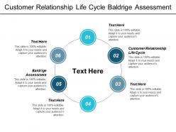 Customer relationship life cycle baldrige assessment key positions cpb
