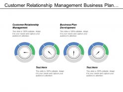 Customer relationship management business plan development performance assessment cpb