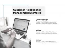 Customer relationship management examples ppt powerpoint presentation slides cpb