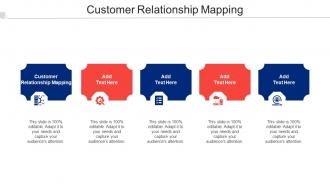 Customer Relationship Mapping Ppt Powerpoint Presentation Summary Master Slide Cpb