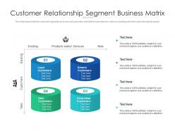 Customer relationship segment business matrix