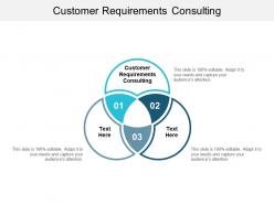 Customer requirements consulting ppt powerpoint presentation gallery good cpb