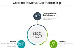 Customer revenue cost relationship ppt powerpoint presentation portrait cpb