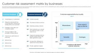 Customer Risk Assessment Matrix By Businesses