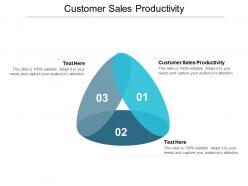Customer sales productivity ppt powerpoint presentation guidelines cpb