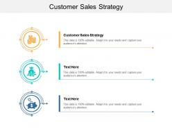 Customer sales strategy ppt powerpoint presentation slides microsoft cpb