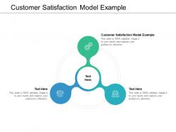 Customer satisfaction model example ppt powerpoint presentation styles skills cpb