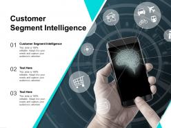 Customer segment intelligence ppt powerpoint presentation summary structure cpb