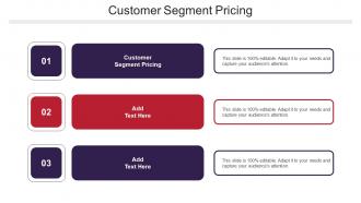 Customer Segment Pricing Ppt Powerpoint Presentation Infographics Cpb