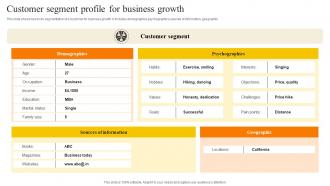 Customer Segment Profile For Business Growth