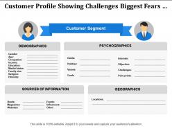 Customer segment showing psychographics source of information